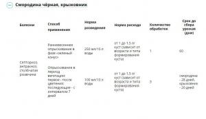 Бордоская жидкость ВСК (Август), 500 мл - картинка 5
